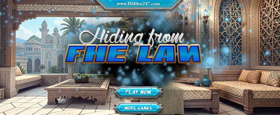 Hiding From The Law thumbnail